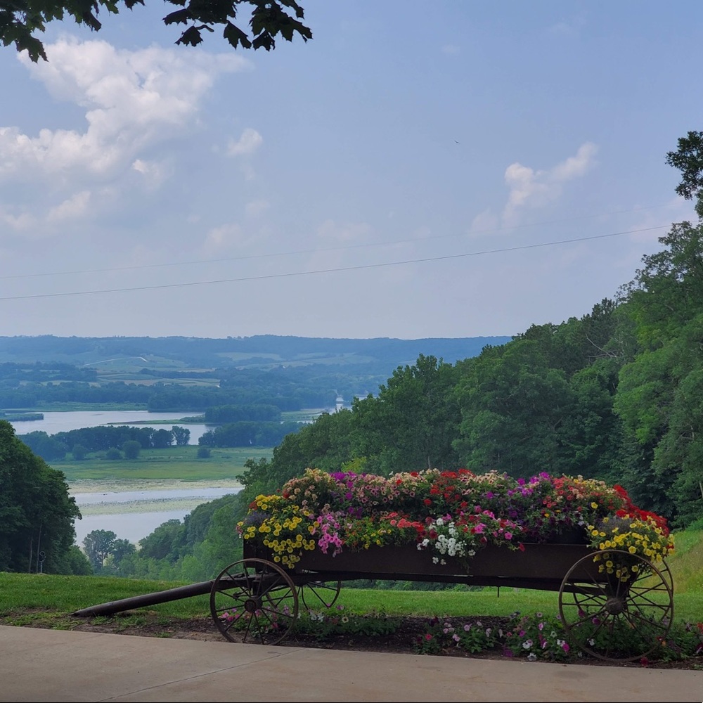 Meet your Posher, Katy 💃🏼🌠🫶🏼 - Picture 3 of 5